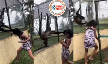 SHOCKING Video : बंदर के सामने मस्ती कर रही थी लड़की,बाल खींचकर सिखाया सबक, देखे वीडियो...