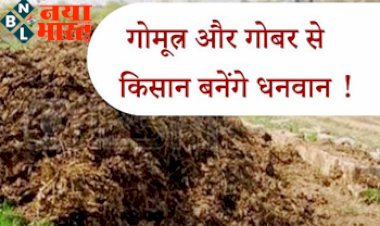 Farmer News : बड़ी खबर ! अब किसान बनेंगे धनवान, गोमूत्र और गोबर से बनेगी खाद व दवाई, जैविक खेती को मिलेगा बढ़ावा...