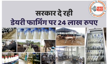 Dairy Farming Business : सरकार दे रही डेयरी फार्मिंग बिज़नेस पर 24 लाख रुपए की सहायता, झट से उठाएं इसका लाभ...यहाँ पढ़े पूरी जानकारी...