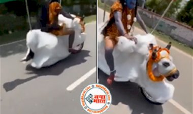 Viral Video : भगवान 'शिव जी  ‘नंदी’ पर सवार होकर फर्राटेदार तरीके से निकले सडकों की सैर पर, VIDEO देख लोग भी हुए हैरान...