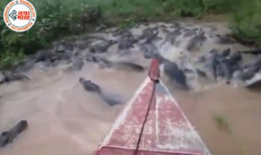 Shocking Video : सैकड़ों मगरमच्छों के बीच मौत से बिना डरे नाव लेकर निकला शख्स, आगे जो हुआ उसे देखकर खड़े हो जाएंगे रोंगटे, खुद ही देख लीजिये VIDEO...