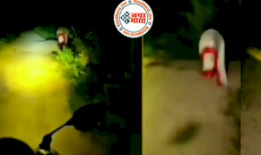 Social media Viral Video : आदमियों का पीछा कर रही 'चुड़ैल'! अंधेरी सड़क पर जा रहे लड़कों के छूटे पशीने देखिये  वीडियो फिर आगे क्या हुआ...