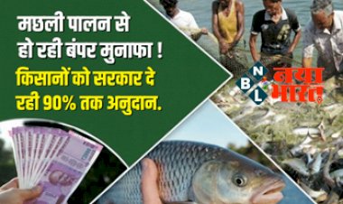 Fish Farming : सरकार ने दी किसानो को बड़ी सौगात ! अब मछली पालन से हो रहा बंपर मुनाफा,  सरकार दे रही 90% तक अनुदान, जाने पूरा प्रोसेस...