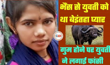 अजब-गजब लव: भैंस से युवती को था बेइंतहा प्यार... गुम होने पर युवती ने लगाई फांसी... भैंस के प्रेम में युवती ने दे दी जान.....