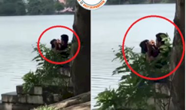 Viral: प्रेमिका के बालों में जूं से परेशान प्रेमी ने उठाया ऐसा कदम, नदी के किनारे ले गया और फिर...