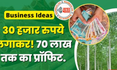 Farming Business Ideas: बेकार जमीन पर 30 हजार रुपये लगाकर शुरू करे इस पौधे की खेती और  बने कलखपति, होगा 70 लाख तक का प्रॉफिट...
