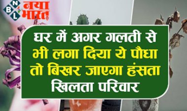 Vastu Plant: घर में अगर गलती से भी लगा दिया ये पौधे तो बिखर जायेगा हँसता खिलता परिवार, लगाने से पहले जान लें ये बातें...