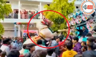 Viral Video: घोड़ी के सामने झूम-झूमकर डांस कर रहे थे बाराती,  तभी भड़क गई घोड़ी, आगे जो हुआ सोच भी नहीं सकते- देखें वीडियो...