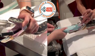 Shocking Video: विशालकाय सांप ने भूख से तड़प कर निगल लिया कुछ ऐसी 'अजीबोगरीब' चीज, जिसे देख डॉक्टर के उड़ गये होश..
