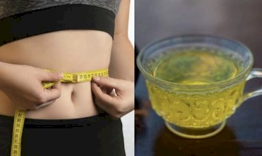 Health Tips : वजन घटाने में कारगर साबित होती हैं ये ड्रिंक्स, वजन कम करने के लिए अपनाएं ये 5 मॉर्निंग वॉटर,  खाली पेट पीने पर तेजी से पिघलने लगती है चर्बी…जनिए Weight Loss Drinks….
