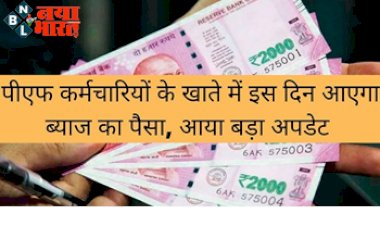 EPFO Interest : पीएफ खाताधारकों को मिलने जा रहा है ब्याज का पैसा, जानें कब आएंगे अकाउंट में ब्याज के पैसे...