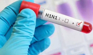 CG- स्वास्थ्य विभाग BIG Alert: छत्तीसगढ़ में स्वाइन फ्लू की दस्तक... सात जिलों में 11 मामले मिले... मेडिकल कॉलेजों, CMHO व सिविल सर्जन्स को निर्देश जारी... स्वास्थ्य मंत्री ने इन बीमारियों से किया सचेत......