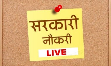 Government Job: सरकारी नौकरी पाने का शानदार मौका... सीएम का बड़ा एलान... हर परिवार के एक मेंबर को रोजगार देगी सरकार.....