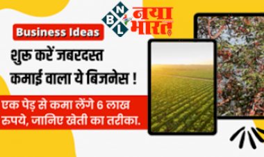 Business Ideas : शुरू करे जबरदस्त कमाई वाला ये बिज़नेस ! एक पेड़ से कमा लेंगे 6 लाख रूपये, जानिए खेती का तरीका, और कैसे करें शुरूआत...