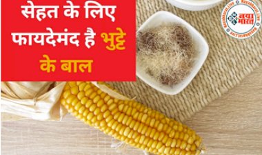 Corn Silk Benefits: सेहत के लिए फायदेमंद है भुट्टे के बाल, समस्याओ को करता है दूर,आप भी जानें और करें उपयोग...
