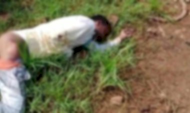 पेड़ पौधों के बीच झाड़ियों में मिली लाश, जांच में जुटी पुलिस।