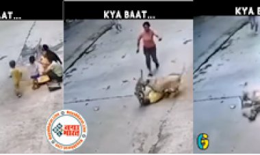 Video: स्ट्रीट डॉग ने बच्चे पर कर दिया हमला, मगर अगले सेकंड फ्रेम में जो हुआ उसने सभी के होश उड़ा दिए होश ...देखे विडियो