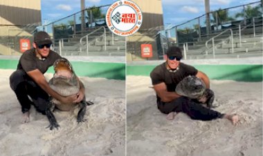 The Dreaded Crocodile : विशालकाय मगरमच्छ को गोद में खेलाता नजर आया शख्स, हर बात मानता है ये मगरमच्छ, देखे विडियो...
