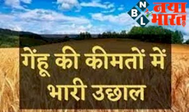 Wheat Price Hike: बड़ा झटका! गेहूं के भाव में उछाल टूटा रिकार्ड, बीते 15 दिनों में 600 रुपए प्रति क्विंटल महंगा हुआ गेहूं...