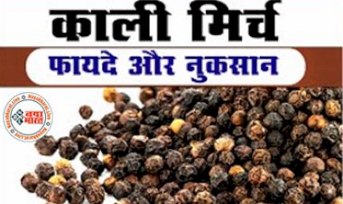 Black Pepper Effects On Health: क्या काली मिर्च खाने से स्वास्थ्य को हो सकते हैं नुकसान, जानें क्या हैं इस मसाले के सेवन के फायदे-नुकसान...