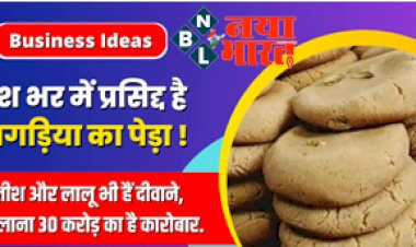 Business Ideas : खगड़िया का पेड़ा है देश भर में प्रसिद्,  नीतीश और लालू भी हैं इसके दीवाने, सालाना 30 करोड़ का है कारोबार...