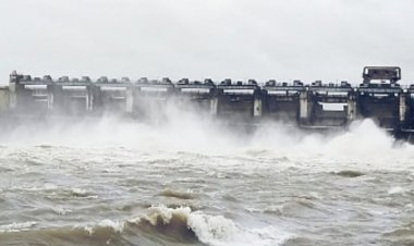 CG BREAKING: गंगरेल के सभी गेट खुले... जांजगीर जिला प्रशासन अलर्ट मोड पर... शिवरीनारायण सहित महानदी के किनारे आसपास मुनादी और खाली कराने के निर्देश... सुबह 5 बजे के बाद स्थिति गंभीर होने की संभावना.....