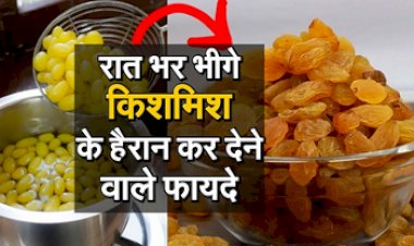 Weight Loss Tips : कई बीमारियां होंगी छूमंतर, जाने रात भर भीगे किशमिश के हैरान कर देने वाले फायदे...