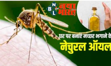 Mosquito Repellent Remedies : घर से सारे मच्छर भगाने के लिए ये 5 नैचुरल क्रीम हैं असदार, कम पैसों में होगा तैयार, जानें तरीका...