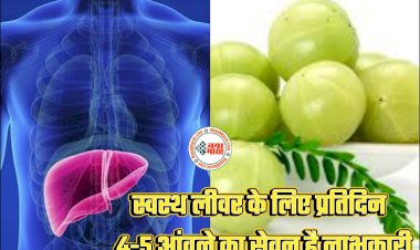 Healthy Liver Tips: स्वस्थ लीवर के लिए प्रतिदिन 4-5 आंवले का सेवन है लाभकारी... विटामिन-सी लीवर की कार्यक्षमता बढ़ाने में सहायक... संकेत जो करते हैं लिवर में हो रही गड़बड़ी की ओर इशारा... न करें इसे इग्नोर.....