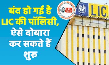 LIC Insurance Policy: LIC ने दिया शानदार ऑफर ! बंद हो चुकी बीमा पॉलिसी को फिर से शुरू करने का मौका, देखे पूरी डिटेल्स...
