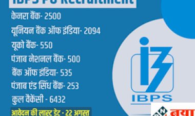 IBPS PO Recruitment 2022 : आईबीपीएस पीओ 6432 पदों पर निकली बंपर भर्ती, ग्रेजुएट पास जल्द करें आवेदन...