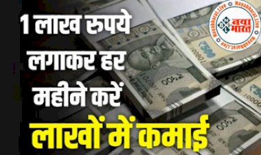 Business Ideas : बेस्ट बिजनेस प्लान ! 1 लाख लगाकर शुरू करे ये बेहतरीन काम, हर महीने होगी 10 लाख तक की कमाई...