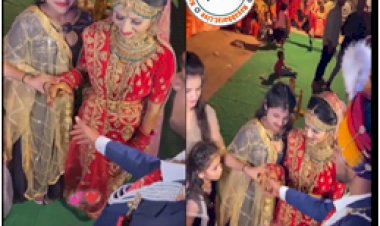 Jija-Sali Viral Video: शादी में साली ने जीजा के साथ की ये हरकत, फिर जो हुआ उसे देख आप के भी  उड़ जायेंगे होश...