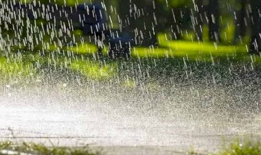 जिले में अब तक 444.1 मिलीमीटर औसत वर्षा दर्ज