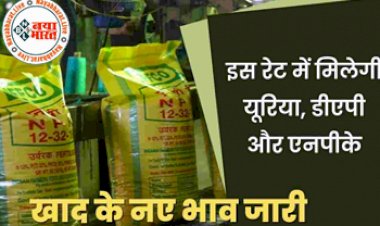 UREA DAP: DAP खाद के नये भाव जारी ! अब इस रेट में मिलेगी यूरिया, डीएपी और एनपीके खाद की एक बोरी, यहां देखें नई डीएपी यूरिया दरें...