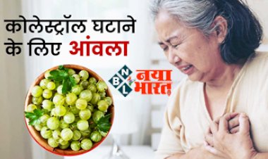 Amla in High Cholesterol : शरीर में  हाई कोलेस्ट्रॉल घटने के लिए क्या आंवला है बहुत फायदेमंद? जानिए  कैसे करें इसका सेवन...