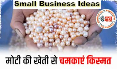 Small Business Ideas: मात्र  50 हजार इन्वेस्ट कर शुरू करें ये बिजनेस, और कमाये  लाखो रु. महीना...