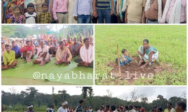 धमतरी जिला के अंतिम छोर कारीपानी और बुडरा गांव के लोगो ने मनाया वन महोत्सव...100 एकड़ जमीन में रोपे 1000 हजार से ज्यादा पौधे...