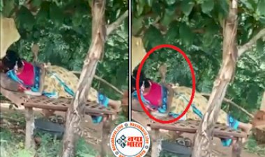 Shocking Video: पेड़ के नीचे सोई हुई महिला के ऊपर अचानक आ गया कोबरा, फिर क्या हुआ देखिए वीडियो...