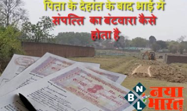 Distribution of Property: पिता के देहांत के बाद भाई में संपत्ति का बंटवारा कैसे होता है? जानिए क्या हैं नियम..