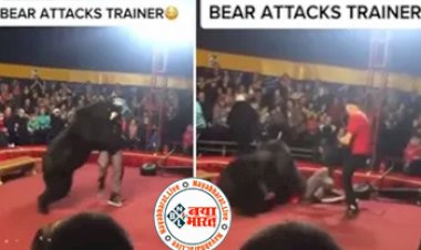 Bear Attacks Trainer : OMG! सर्कस में भालू ने अचानक ट्रेनर पर कर दिया अटैक, देखे रोंगटे खड़े करने वाला है वीडियो...