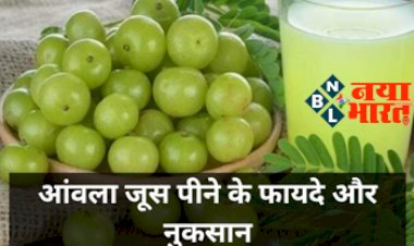 Amla Juice Benefits & Side Effects : सेहत के लिए फायदेमंद है आंवला, साथ ही जानिए इसके कुछ साइड इफेक्ट्स...