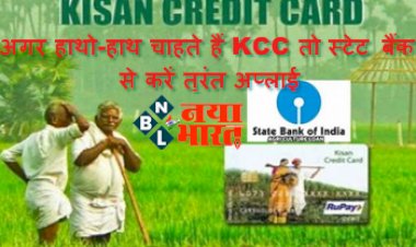 Kisan Credit Card: अगर हाथो-हाथ चाहते हैं KCC तो स्टेट बैंक से करें तुरंत अप्लाई, ऐसे करें आवेदन...