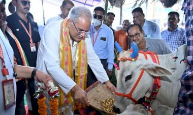 CG News  : छत्तीसगढ़ में शुरू होगी मुख्यमंत्री गोवंश मोबाइल चिकित्सा योजना….CM भूपेश बघेल ने दिए निर्देश…