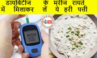 Raita in diabetes : डायबिटीज के मरीज रायते में मिलाकर लें ये हरी पत्ती, कंट्रोल में रहेगा ब्लड शुगर लेवल, जानिए इस्तेमाल करने का तरीका...