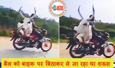 Bull On Bike: बैल को बाइक पर बिठाकर ले जा रहा था शख्स, और फिर... देखिये चौंका देने वाला वीडियो...