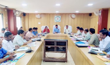 CG:सड़कों पर पशुओं के बैठे होने से जनपद पंचायत के सीईओ एवं नपा के सीएमओ होंगे जिम्मेदार और ग्राम पंचायत के सबसे ज्यादा होंगे जिम्मेदार सरपंच, सचिव... कलेक्टर ने पशुपालकों से पशुओं को गौठान में भेजने की अपील की