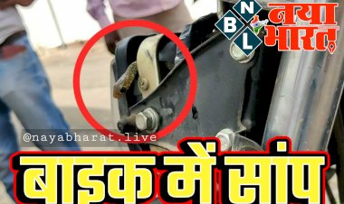 CG- बाइक में सांप VIDEO: एग्जाम दिलाने आए युवक के गाड़ी में घुसा सांप... देख दंग रह गए सभी... फिर जो हुआ... देखें वीडियो......
