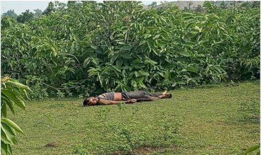 पचपेड़ी थाना क्षेत्र के गोडाडीह जंगल में संदिग्ध हालत में मिली युवक की लाश बॉडी में चोट के निशान घर वालो ने हत्या की जताई शंका परिवार में शोक की लहर जाँच में जुटी पुलिस