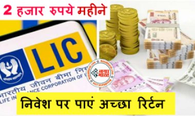 LIC Best Plan : ग्राहक न्यूनतम 2 हजार रुपये महीने के निवेश पर पाएं अच्छा रिर्टन, पढ़िए इस पॉलिसी के नियम...